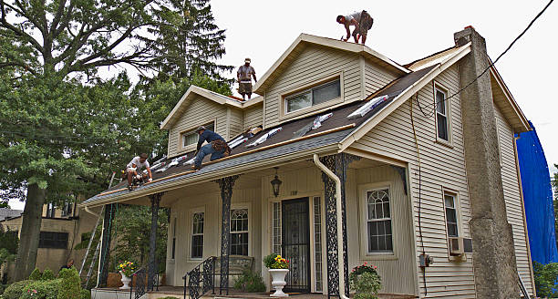 Best Flat Roof Repair Services  in Shattuck, OK